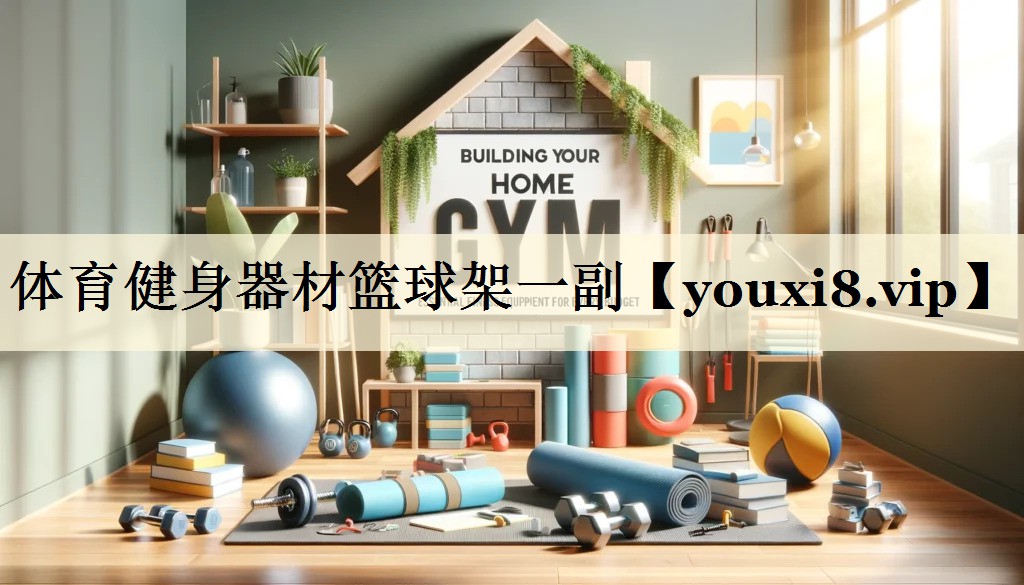 体育健身器材篮球架一副